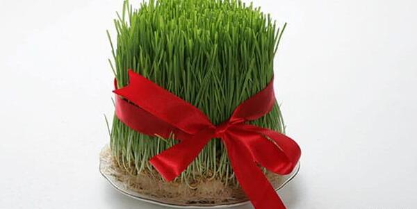 عکس سبزه عید روی عروسک