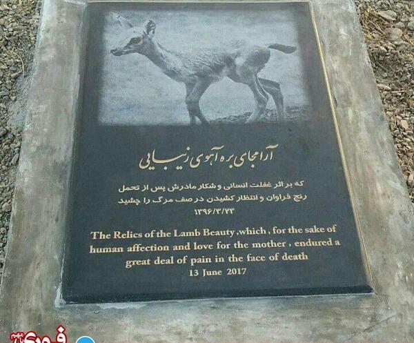 عکس سنگ قبر نوید افکاری