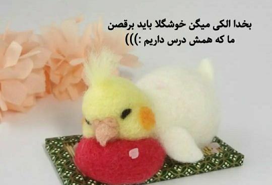 عکس طوطی عروسکی