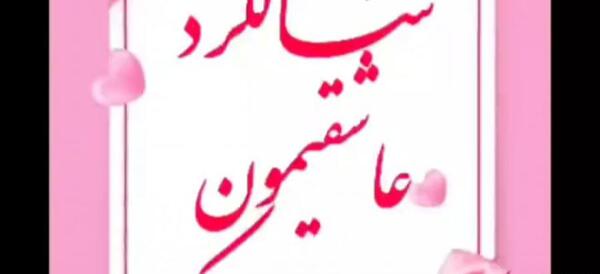 عکس خام سالگرد ازدواج