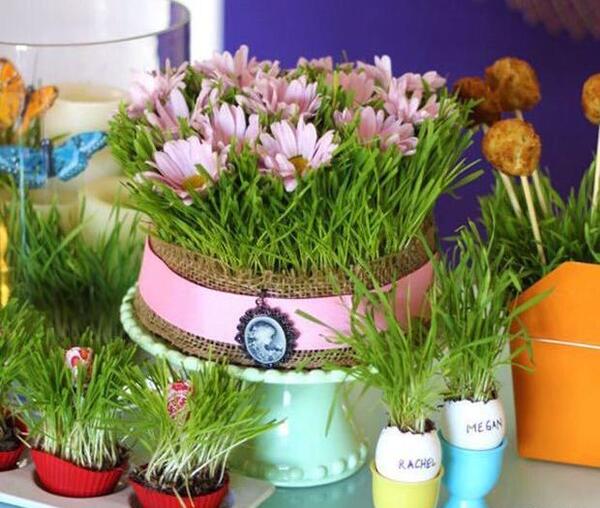 عکس لبو برای سبزه عید