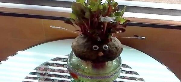 عکس لبو برای سبزه عید
