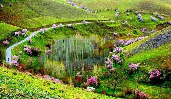 عکس منظره لرستان