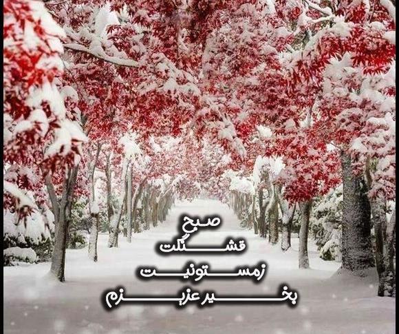 عکس صبحگاهی زمستانی