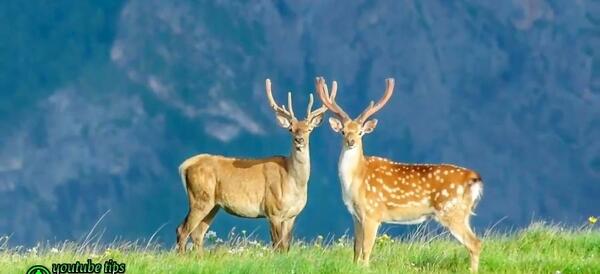 عکس منظره زیبا برای پس زمینه
