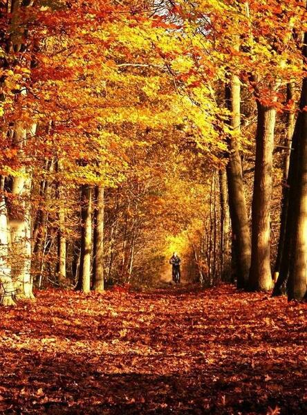 عکس منظره زیبا برای پس زمینه