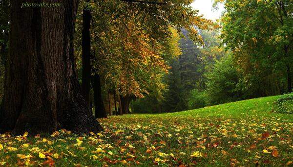 عکس منظره زیبا برای پس زمینه