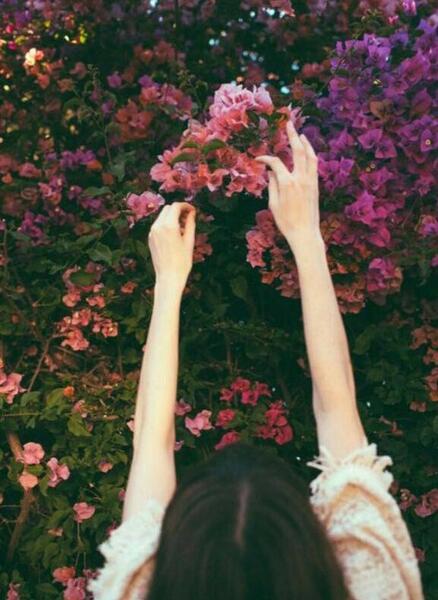 عکس نوشته دختر باید نقاش باشه