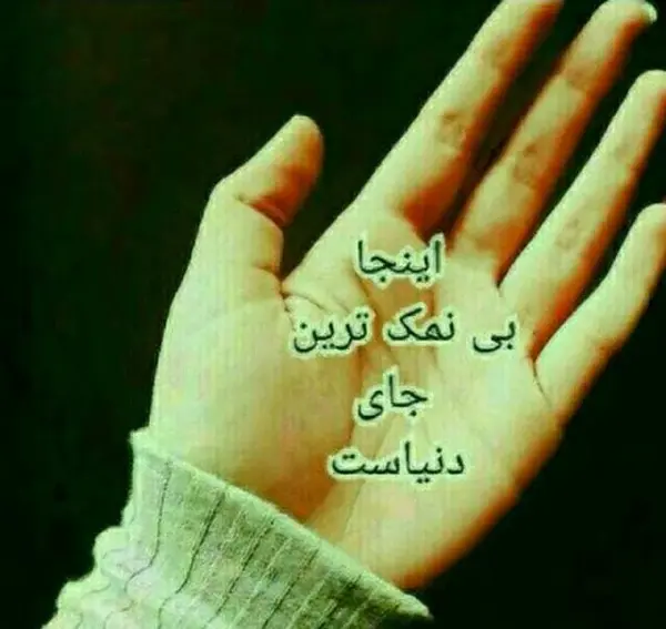 عکس استوری نمک نشناسی