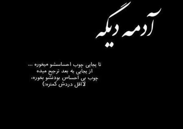 عکس استوری نمک نشناسی