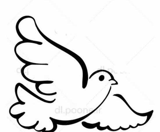 عکس نقاشی ساده پرنده