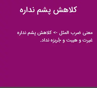 عکس کلاه پشم ندارد