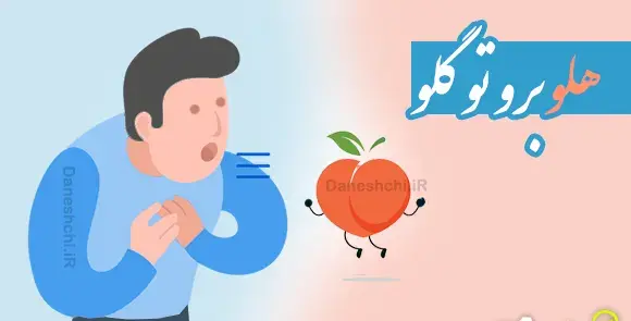 عکس کلاه پشم ندارد
