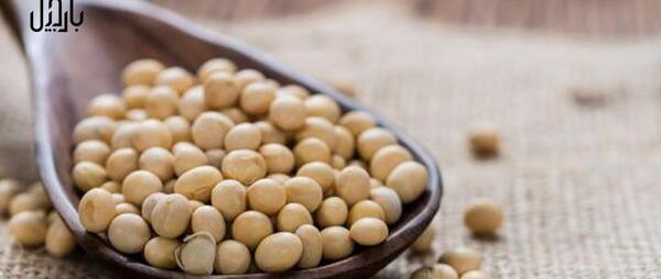 عکس سویا خوردنی