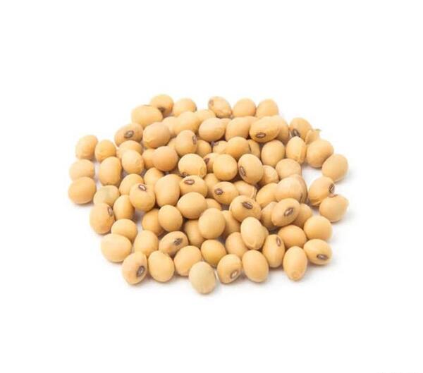 عکس سویا خوردنی
