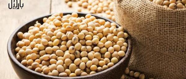 عکس سویا خوردنی