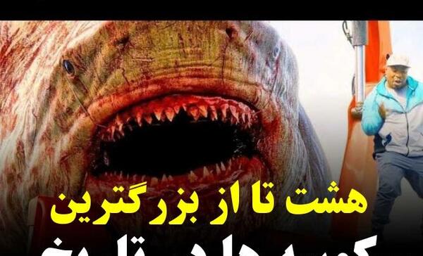 عکس ترسناک ترین کوسه جهان