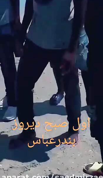 عکس پری دریایی پیدا شده در بندرعباس
