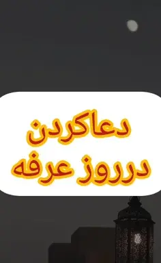 عکس پری دریایی پیدا شده در بندرعباس
