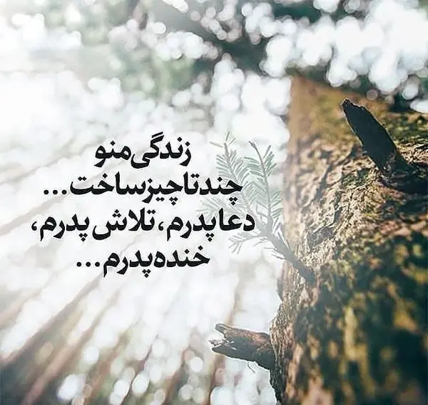 عکس نوشته پدر زحمت کشم