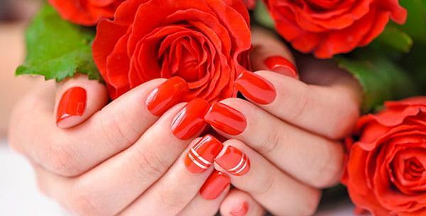عکس چند شاخه گل رز قرمز