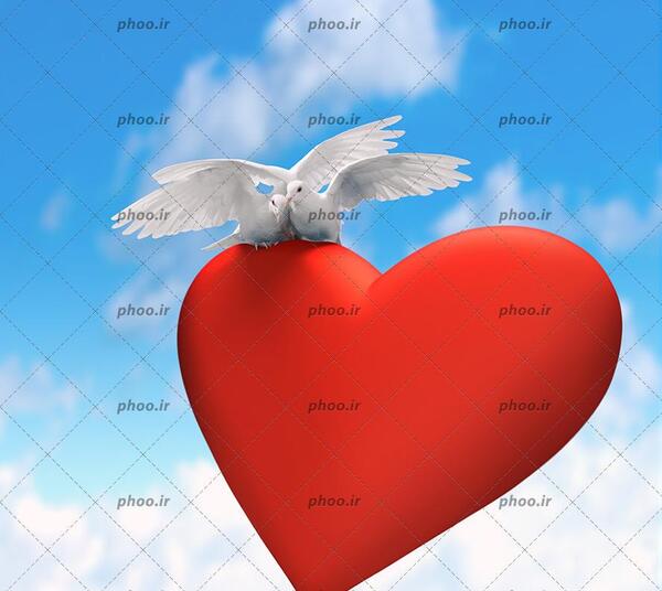 عکس قلب زیبای آبی