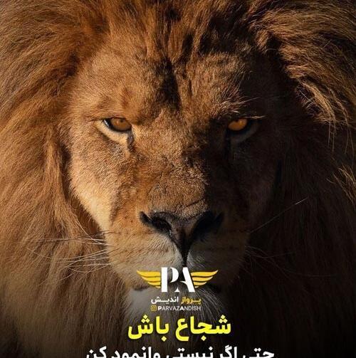 عکس نوشته شیر برای اثبات قدرتش