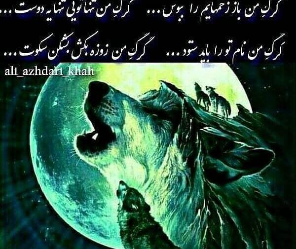 عکس نوشته شیر برای اثبات قدرتش