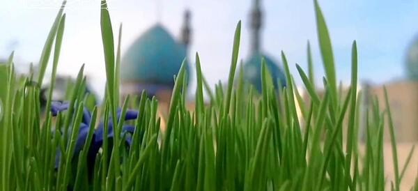 عکس عید نوروز و امام زمان