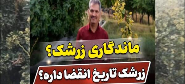 عکس زرشک کوه