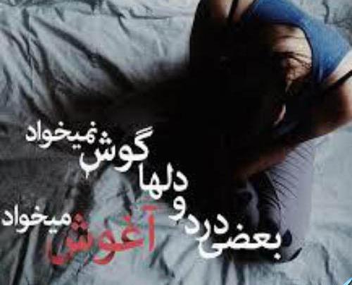 عکس و تصویر شادمهر