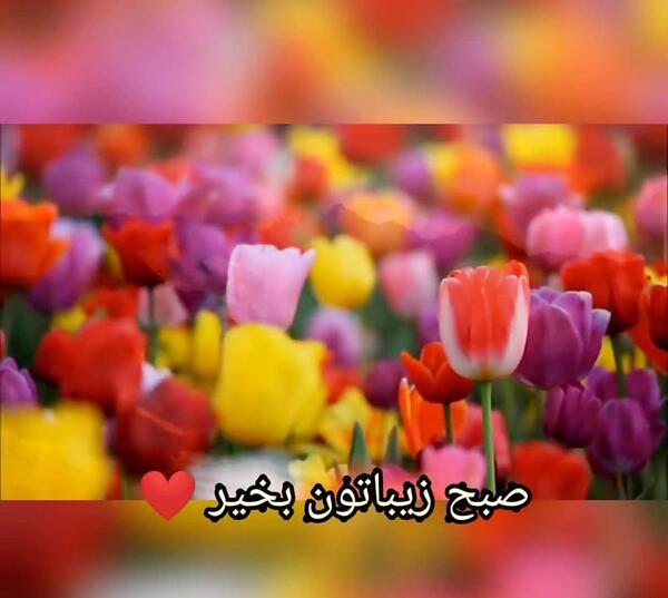 عکس نوشته صبح بخیر خنده دار
