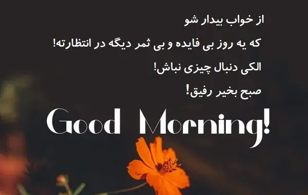 عکس نوشته صبح بخیر خنده دار