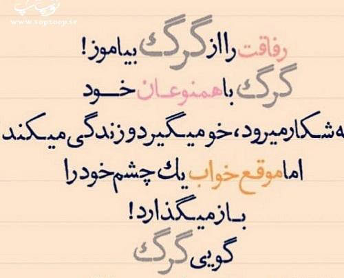 عکس نوشته رفاقت گرگ
