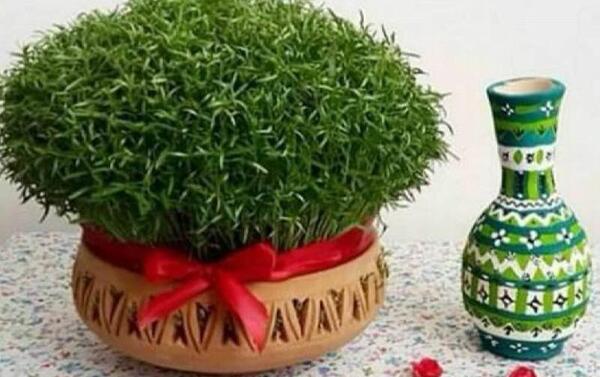 عکس سبزه عید با منداب