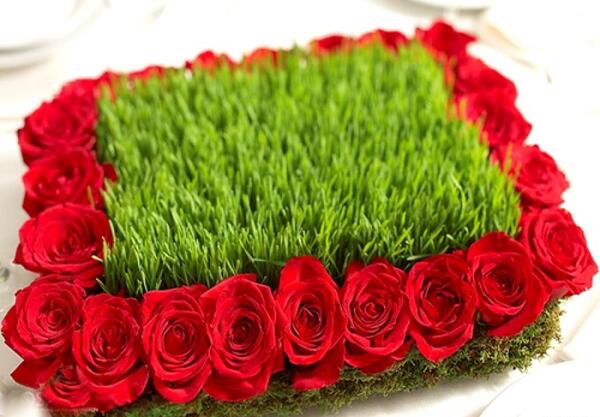 عکس سبزه عید با منداب