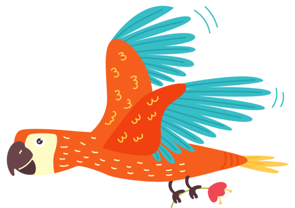 عکس عروس هلندی تولک