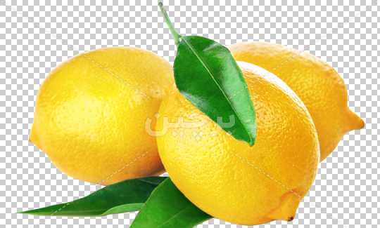 عکس لیمو png
