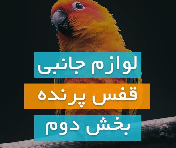 عکس طوطی قفس