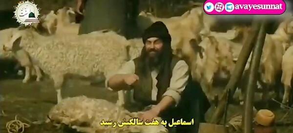 عکس فیلم ذبح گوسفندان