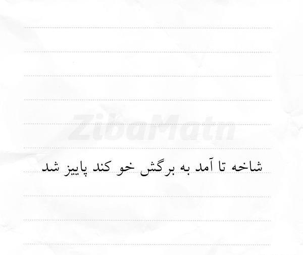 عکس استوری پاییز اومد
