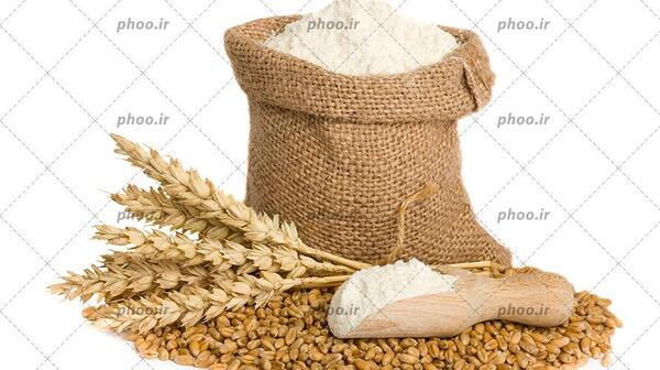 عکس کیسه های تریاک