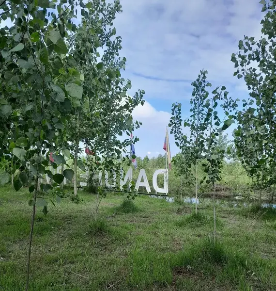 عکس قطعه زمین