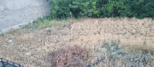 عکس قطعه زمین