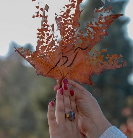 عکس پاییزی آذر