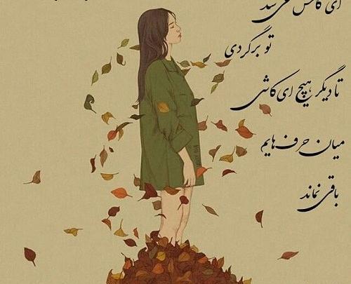عکس نوشته اگه میشه برگرد