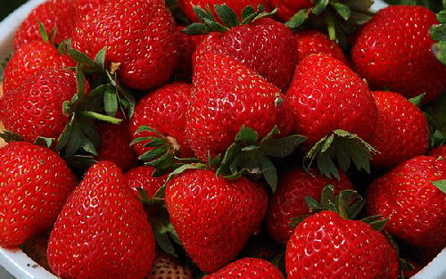 عکس از میوه های بهاری