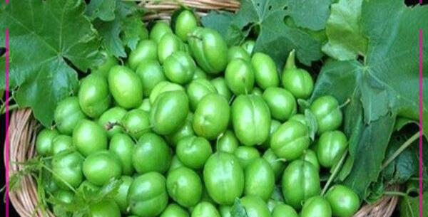 عکس از میوه های بهاری