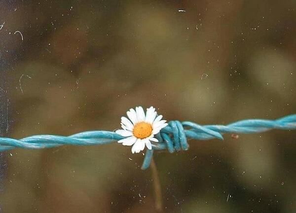 عکس روزهای سخت