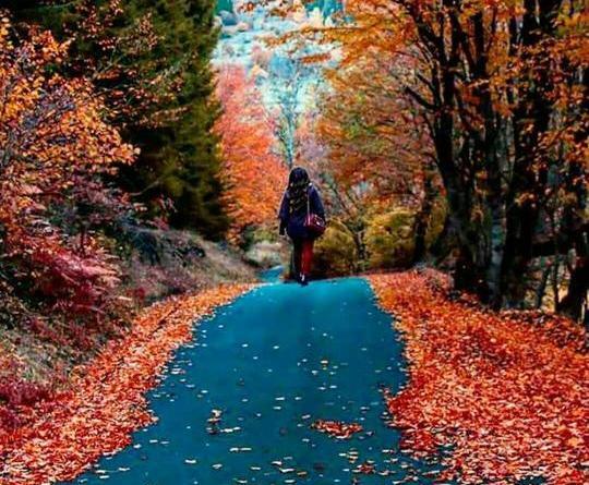 عکس پاییزی برای پروفایل پسرانه